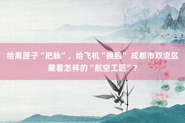 给黑匣子“把脉”,给飞机“换脑” 成都市双流区藏着怎样的“航空工匠”?